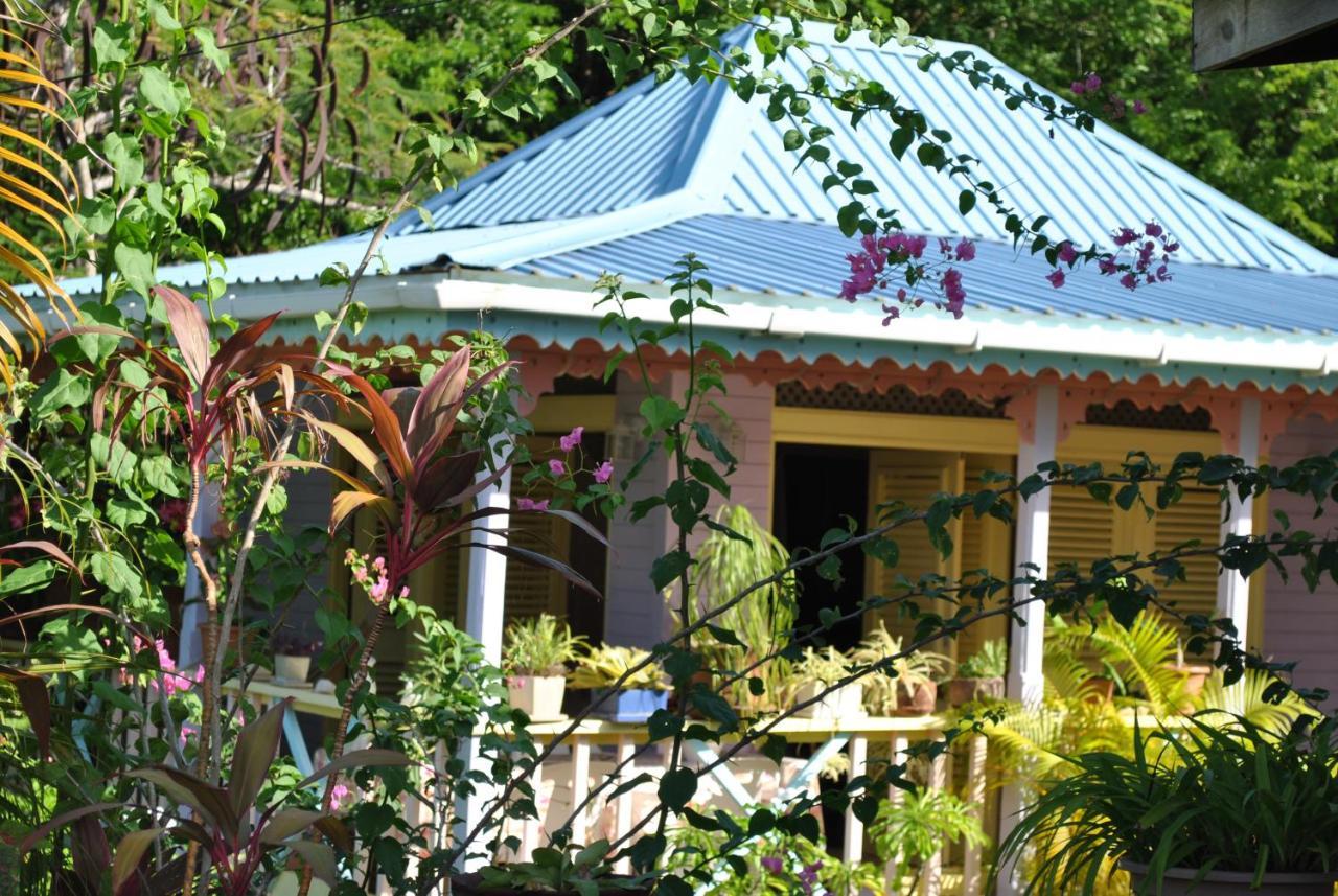 ויו פורט Villa Caribbean Dream מראה חיצוני תמונה