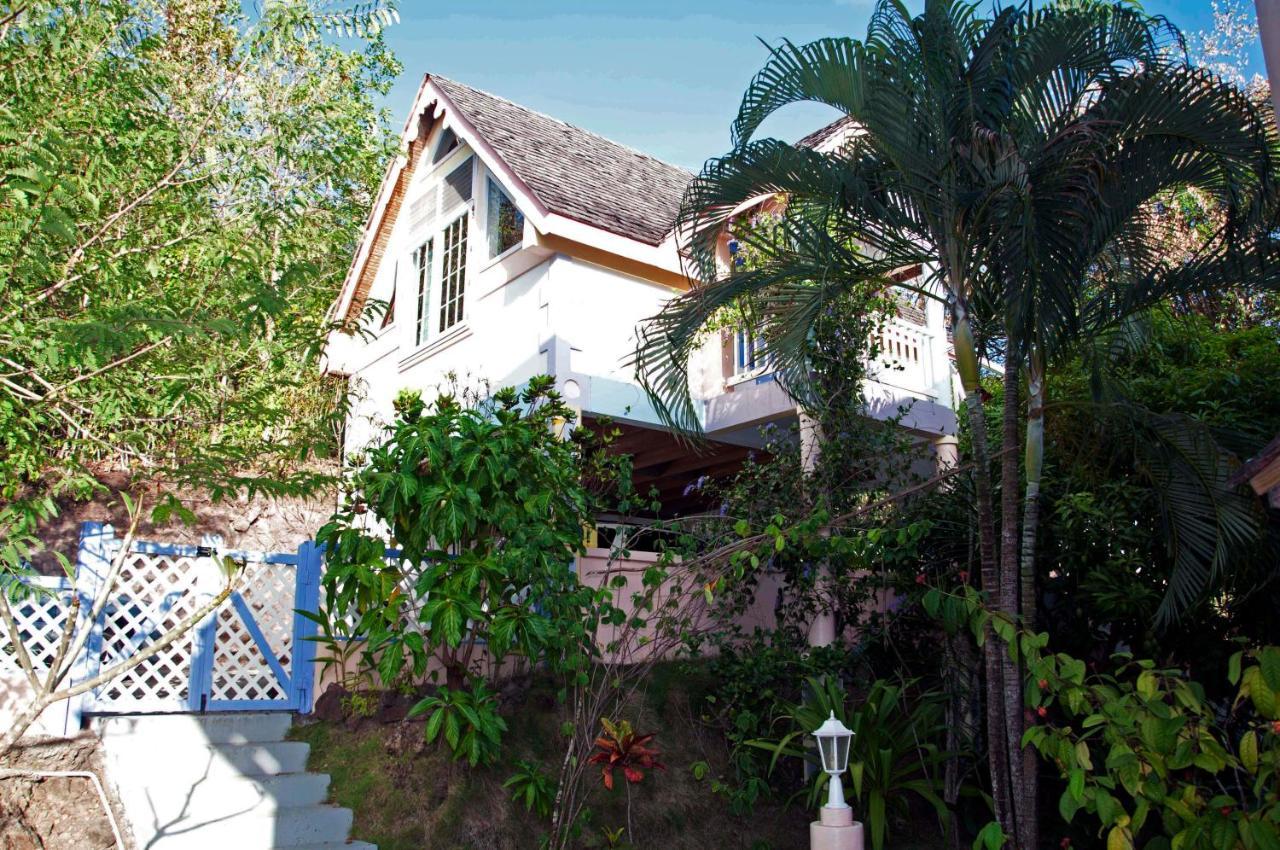 ויו פורט Villa Caribbean Dream מראה חיצוני תמונה